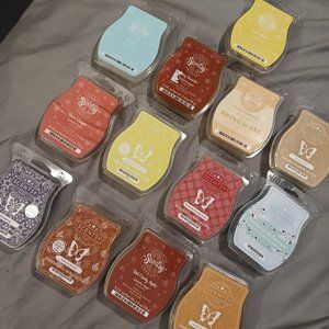 HUGE Scentsy Bundle (13pks)
